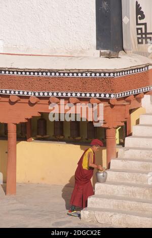 Giovane monaco novizio con una brocca di tè e una tazza, monastero di Hemis, Hemis, Ladakh, Jammu e Kashmir, India Foto Stock