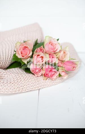 Rose rosa su una coperta rosa Foto Stock