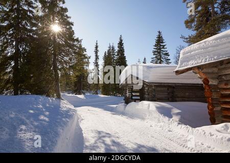 Pupazzo di neve con baffi di fronte alla cabina Log in Lapponia, Circolo polare Artico, Finlandia Foto Stock
