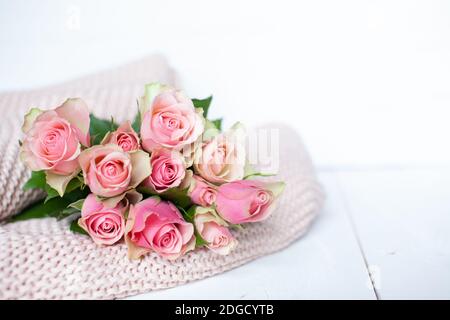 Rose rosa su una coperta rosa Foto Stock