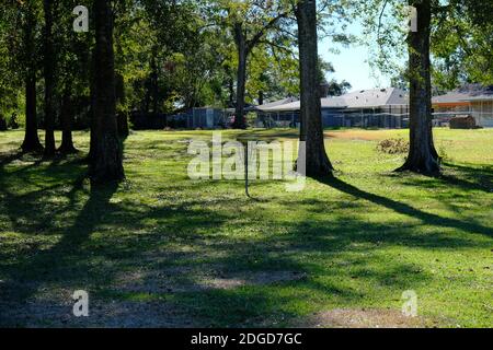 Obiettivo del golf in Pa Davis Park, Louisiana. Foto Stock