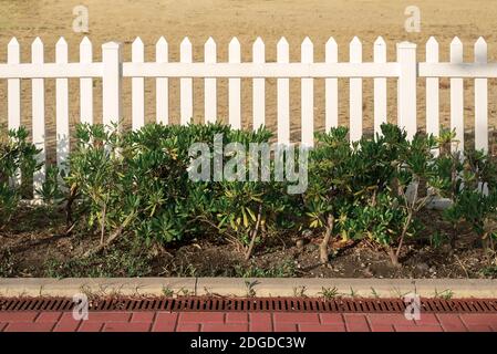 Recinzione bianca con cespugli e strada rossa Foto Stock