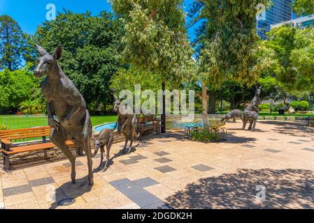 Canguri nella scultura della città di Perth, Australia Foto Stock