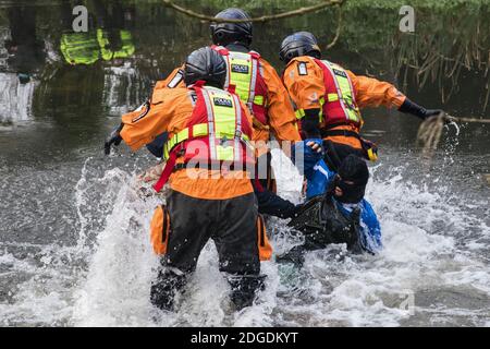 Denham, Regno Unito. 8 dicembre 2020. Gli agenti della polizia dell'Hampshire rimuovono un attivista anti-HS2 dal fiume Colne per essere arrestato durante un'operazione di sicurezza di grandi dimensioni per estrarre Dan Hooper, ampiamente conosciuto come swampy negli anni '90, Da un treppiede di bambù che aveva occupato il giorno precedente per ritardare la costruzione di un ponte come parte di lavori per il controverso collegamento ferroviario ad alta velocità HS2. Credit: Mark Kerrison/Alamy Live News Foto Stock