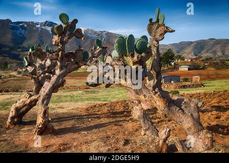 In lesotho villaggio di strada vicino montagna Foto Stock