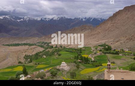 Vista dei lussureggianti campi irrigati e stupa che circondano il monastero di Likir, Likir, Ladakh, Jammu e Kashmir, India. Uno sfondo himalayano Foto Stock