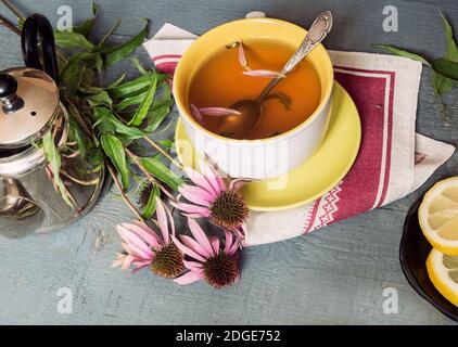 Echinacea è un'erba medicinale immune con effetti stimolanti Foto Stock