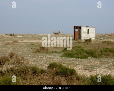 Dungeness, Regno Unito abbandonò la capanna dei pescatori e lo scafo di una barca abbandonata. In primo piano le piante e le erbe della spiaggia che si coltivano sull'agnello. Foto Stock