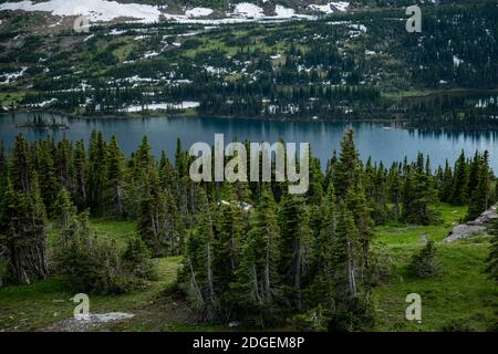 Lussureggiante Green Forest e lago nascosto all'inizio dell'estate Glacier National Park Foto Stock