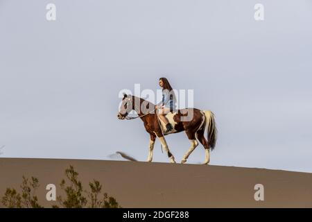 Un bel modello Brunette cammina il suo Cavallo attraverso il deserto In un giorno estivo Foto Stock