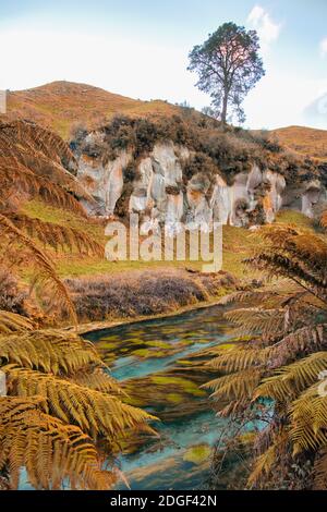 Bel Villaggio del set di film Hobbiton in Nuova Zelanda con colori autunnali. Case di legno nel parco Foto Stock