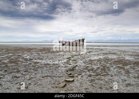 I resti arrugginiti del naufragio Janie Seddon sul litorale di Motueka, Nelson Tasman, Nuova Zelanda sabato 21 novembre 2020. Foto Stock