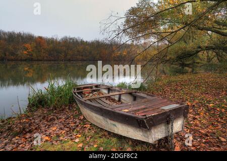 Canoa ungherese Foto Stock