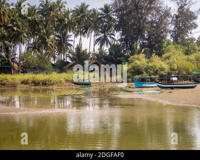 Barche da pesca al tramonto in una laguna vicino a un villaggio a Goa, India Foto Stock