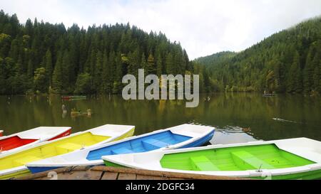 Lacu Rosu, Red Lake, Carpazi, regione della Moldavia, Romania Foto Stock