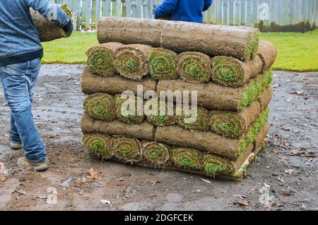 Nuovi rotoli di erba erbosa fresca pronti per essere utilizzato per il giardinaggio Foto Stock