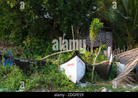 PALOLEM, Goa, INDIA - 19 MARZO 2019: Le piante striscianti coprono le barche da pesca nelle giungle vicino a Palolem, Goa, India Foto Stock