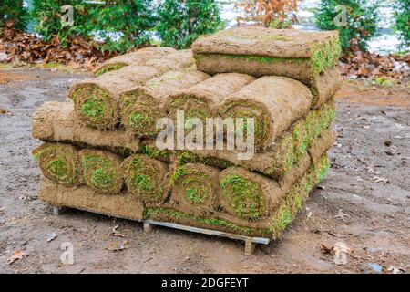 Pila di rotoli di erba erbosa per un prato erba fresca per decorare il disegno di paesaggio Foto Stock
