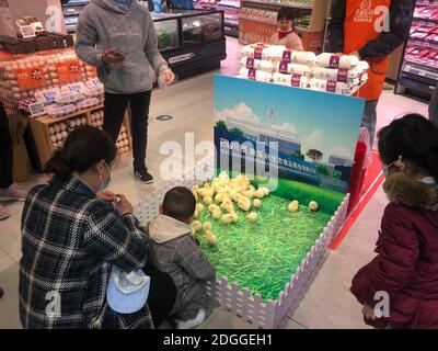 Un supermercato effettua una strana promozione, finchè i clienti comprano una scatola delle uova, possono ottenere due polli liberi, che attrae molti bambini a. Foto Stock