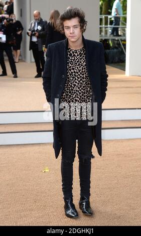 Harry Styles arriva allo spettacolo della passerella Burberry Prorsum S/S 2014, parte della London Fashion Week, Primavera Estate 2014, Hyde Park. Foto Stock