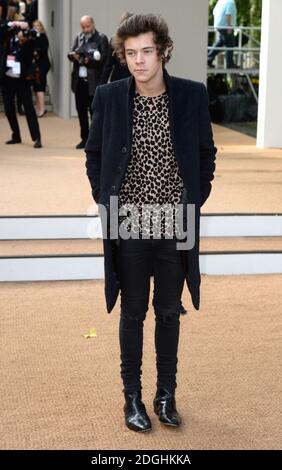 Harry Styles arriva allo spettacolo della passerella Burberry Prorsum S/S 2014, parte della London Fashion Week, Primavera Estate 2014, Hyde Park. Foto Stock