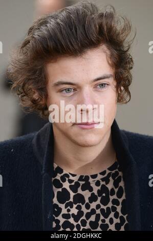 Harry Styles arriva allo spettacolo della passerella Burberry Prorsum S/S 2014, parte della London Fashion Week, Primavera Estate 2014, Hyde Park. Foto Stock