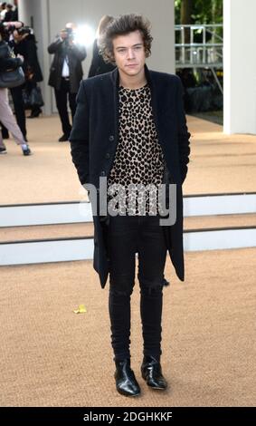 Harry Styles arriva allo spettacolo della passerella Burberry Prorsum S/S 2014, parte della London Fashion Week, Primavera Estate 2014, Hyde Park. Foto Stock