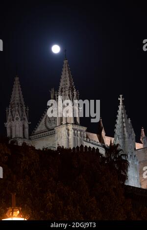 Bella immagine della Cattedrale di Palma di Maiorca, con la luna piena che si erge tra le sue spiagge. Foto Stock