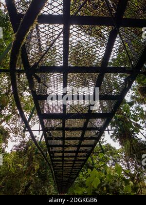 Ponte sospeso in metallo nella foresta pluviale della Costa Rica visto dal basso. Con una splendida vista sulle cime degli alberi della foresta tropicale. Foto Stock