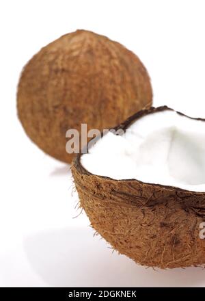 Cocco Cocos nucifera, frutti contro uno sfondo bianco Foto Stock