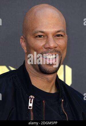 Arrivo comune ai MTV Movie Awards 2016, Warner Bros Studios, Burbank, Los Angeles. Il credito fotografico dovrebbe essere: Doug Peters/EMPICS Entertainment Foto Stock
