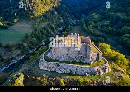 Francia, alta Loira (43), Goudet, castello di Beaufort costruito intorno al 1200, Valle della Loira (vista aerea) Foto Stock