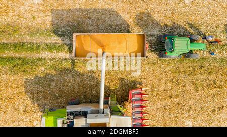 Vista dall'alto del trasbordo dalla trebbiatrice agricola, dalla mietitrebbia al rimorchio, scarico del mais raccolto. Foto Stock