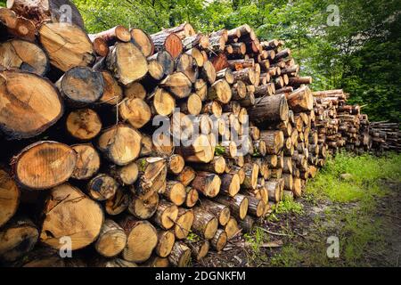 Legno accatastato in preparazione per l'inverno. Asturie, Spagna Foto Stock