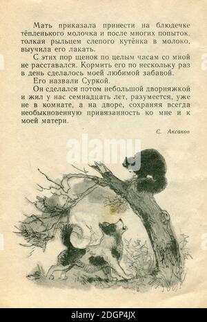 Le Storie di scrittori russi, pubblicate nel 1973 in Russia. Foto Stock