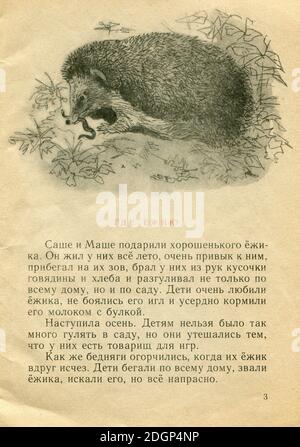 Le Storie di scrittori russi, pubblicate nel 1973 in Russia. Foto Stock