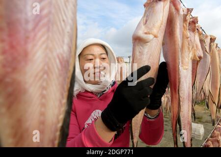 I pescatori stanno asciugando il pesce in un cortile nella città di Rongcheng, nella provincia di Shandong della Cina orientale, il 27 novembre 2020. Foto Stock