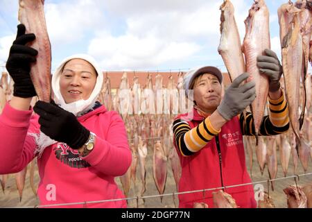 I pescatori stanno asciugando il pesce in un cortile nella città di Rongcheng, nella provincia di Shandong della Cina orientale, il 27 novembre 2020. Foto Stock