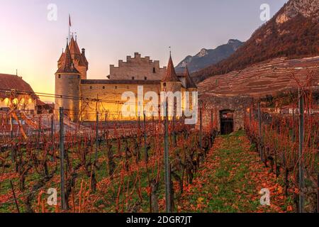 Un gioiello di architettura medievale, Chateau d'Aigle (Castello di Aigle) si trova tra i vigneti di fama mondiale che sorvegliano l'ingresso alla valle del Rodano al confine Foto Stock