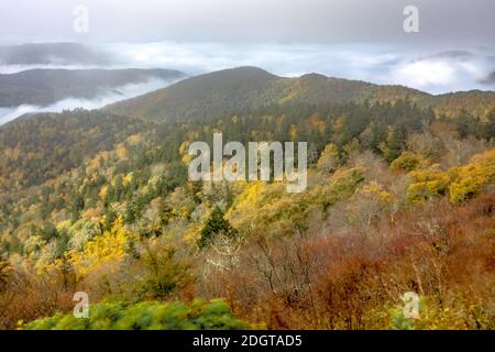 Mattina alba ove blu Ridge parkway montagne Foto Stock