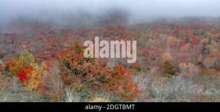 Mattina alba ove blu Ridge parkway montagne Foto Stock