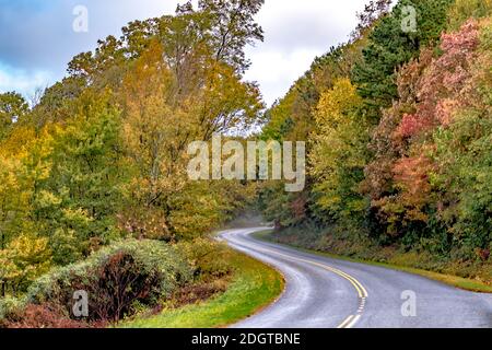 Presto mattina foggy autunnale strade su Blue Ridge parkway vicino asheville, north carolina Foto Stock