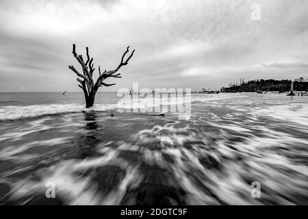 Isola di caccia South carolina Beach Scenes Foto Stock