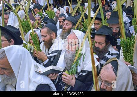 Gli ebrei ortodossi celebrano Sukkot mentre tengono le 4 specie di festa. In una sinagoga affollata a Brooklyn, New York Foto Stock