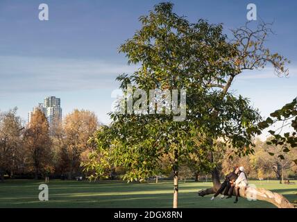 Una giovane coppia in amore baciare, all'aperto, parco pubblico Foto Stock