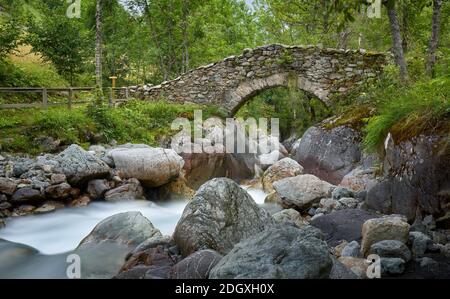 Les Oulles du Diables torrente. Torrente di montagna nella Valgaudemar Valley in estate. Parco Nazionale di Ecrins, Alte Alpi, Alpi francesi, Francia Foto Stock