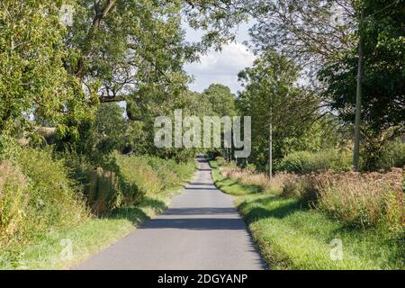 Crick, Northamptonshire - 03/08/20: Una corsia di campagna deserta, illuminata dal sole, si snoda tra siepi, alberi e verga in eccesso. Foto Stock