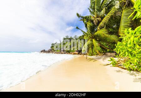 La bellissima spiaggia Anse Georgette a Praslin, Seychelles Foto Stock