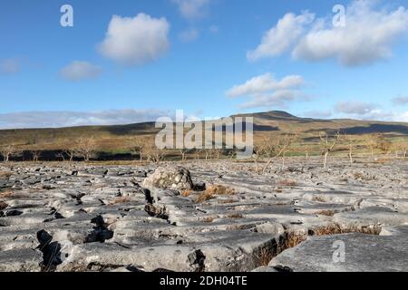 Whernside da Souther Scales cadde, Ingleborough, Yorkshire Dales, Regno Unito Foto Stock