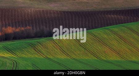 Paesaggio rurale della regione di Turiec nel nord della Slovacchia. Foto Stock